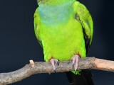 zdroj: Zoo Olomouc