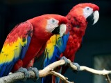 zdroj: Zoo Olomouc