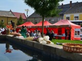 zdroj: město Loštice