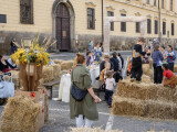zdroj: Street art festival