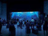 zdroj: Zoo Olomouc