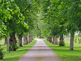 Ilustrační foto Pixabay.com