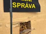 zdroj: Celní správa