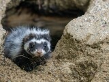 zdroj: Zoo Olomouc