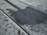 zdroj: Milujeme Olomouc/Pavel Očko
