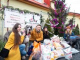 Zdroj: facebook Happydogs