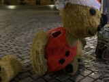 Zdroj: Městská policie Olomouc 