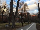 Zdroj: Olomoucký Report