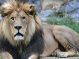 Zdroj: Zoo Olomouc