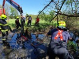 Záchrana koně, foto: HZS Olomouckého kraje