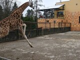 Zdroj: Zoo Olomouc