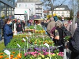 Foto: Výstaviště Flora Olomouc