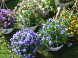 Foto: Výstaviště Flora Olomouc