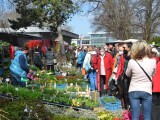 Foto: Výstaviště Flora Olomouc