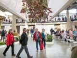 Zdroj: Flora Olomouc