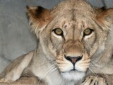 Zdroj: Zoo Olomouc
