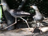 Foto: Zoo Olomouc
