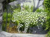 Zdroj: Zoo Olomouc