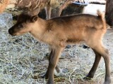Zdroj: Zoo Olomouc