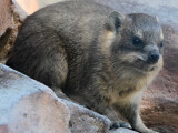 zdroj: Zoo Olomouc