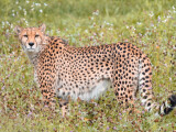 zdroj: Zoo Olomouc