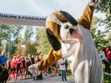 Zdroj: Běhejme a pomáhejme útulkům