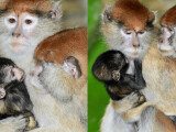 Foto: Zoo Olomouc