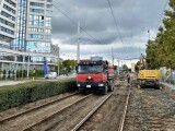 Zdroj: Měníme Olomouc