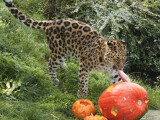 zdroj: Zoo Olomouc