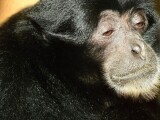 Zdroj: Zoo Olomouc