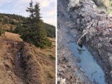 Zdroj: Zdroj: Společnost přátel Jeseníků, z.s.