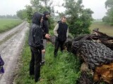 zdroj: losvesinos.cz