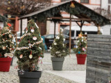 foto: David Sedlák, město Šternberk