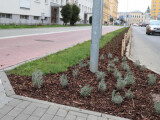 zdroj: město Přerov