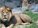 zdroj: Zoo Olomouc