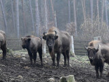 zdroj: Zoo Olomouc