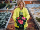Zdroj: Florcenter