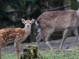 zdroj: Zoo Olomouc