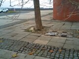 Zdroj: Olomouc.eu