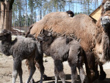 zdroj: Zoo Olomouc