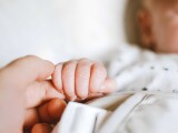 Ilustrační foto: pexels.com