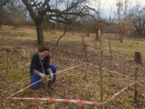 Zdroj: Třešňový sad Šternberk