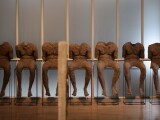 Zdroj: Olomoucký Report 