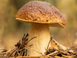zdroj: ČHMÚ