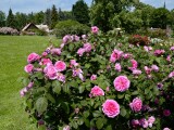 Foto: Výstaviště Flora Olomouc