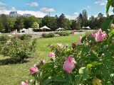 Foto: Výstaviště Flora Olomouc