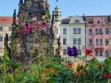 Květinová výzdoba na Horním náměstí | foto Olomouc.eu