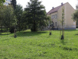 U budovy pobočky Městské knihovny v Přerově – směrem do ulice Sokolská – se začne v příštím roce budovat dešťová zahrada. Zdroj: město Přerov