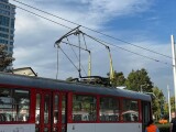 Zdroj: Olomoucký Report 