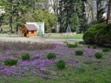 Zdroj: Výstaviště Flora Olomouc